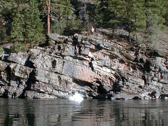 Form 7 Entry 1466 Fileupload 1